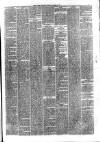 Hyde & Glossop Weekly News, and North Cheshire Herald Saturday 09 March 1878 Page 3