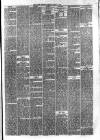 Hyde & Glossop Weekly News, and North Cheshire Herald Saturday 30 March 1878 Page 5