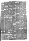 Hyde & Glossop Weekly News, and North Cheshire Herald Saturday 06 April 1878 Page 7