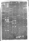 Hyde & Glossop Weekly News, and North Cheshire Herald Saturday 20 April 1878 Page 5