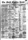 Hyde & Glossop Weekly News, and North Cheshire Herald Saturday 11 May 1878 Page 1