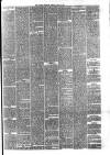 Hyde & Glossop Weekly News, and North Cheshire Herald Saturday 18 May 1878 Page 7