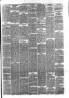 Hyde & Glossop Weekly News, and North Cheshire Herald Saturday 25 May 1878 Page 7