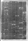 Hyde & Glossop Weekly News, and North Cheshire Herald Saturday 15 June 1878 Page 7