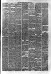 Hyde & Glossop Weekly News, and North Cheshire Herald Saturday 22 June 1878 Page 5