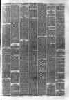 Hyde & Glossop Weekly News, and North Cheshire Herald Saturday 22 June 1878 Page 7