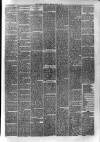 Hyde & Glossop Weekly News, and North Cheshire Herald Saturday 13 July 1878 Page 3