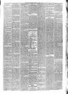 Hyde & Glossop Weekly News, and North Cheshire Herald Saturday 07 June 1879 Page 3