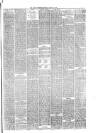 Hyde & Glossop Weekly News, and North Cheshire Herald Saturday 03 January 1880 Page 7