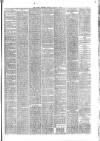Hyde & Glossop Weekly News, and North Cheshire Herald Saturday 24 January 1880 Page 3