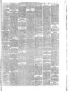 Hyde & Glossop Weekly News, and North Cheshire Herald Saturday 31 January 1880 Page 7