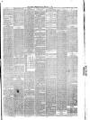 Hyde & Glossop Weekly News, and North Cheshire Herald Saturday 14 February 1880 Page 7
