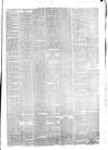 Hyde & Glossop Weekly News, and North Cheshire Herald Saturday 20 March 1880 Page 3