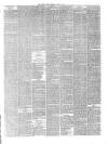 Hyde & Glossop Weekly News, and North Cheshire Herald Saturday 12 March 1881 Page 7