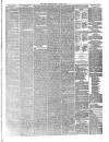 Hyde & Glossop Weekly News, and North Cheshire Herald Saturday 23 April 1881 Page 3