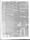 Hyde & Glossop Weekly News, and North Cheshire Herald Saturday 04 June 1881 Page 3