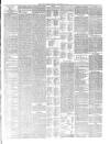 Hyde & Glossop Weekly News, and North Cheshire Herald Saturday 10 September 1881 Page 7