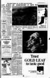 Belfast Telegraph Tuesday 31 October 1967 Page 3