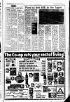 Belfast Telegraph Wednesday 03 March 1976 Page 3