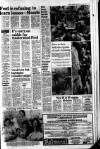 Belfast Telegraph Saturday 03 January 1981 Page 3