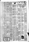 Belfast Telegraph Saturday 10 January 1981 Page 15