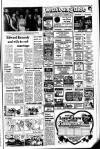 Belfast Telegraph Thursday 22 January 1981 Page 13
