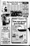 Belfast Telegraph Thursday 19 February 1981 Page 11
