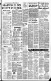 Belfast Telegraph Monday 14 June 1982 Page 17