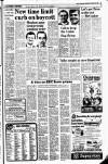 Belfast Telegraph Thursday 02 December 1982 Page 13
