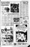 Belfast Telegraph Thursday 13 January 1983 Page 13