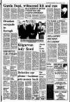 Kerryman Friday 13 November 1987 Page 7