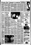 Kerryman Friday 13 November 1987 Page 9