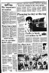 Kerryman Friday 01 April 1988 Page 15