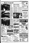 Kerryman Friday 08 April 1988 Page 17