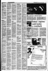 Kerryman Friday 30 December 1988 Page 19