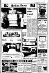 Kerryman Friday 20 January 1989 Page 13