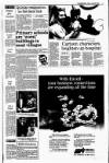 Kerryman Friday 20 April 1990 Page 3