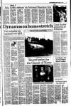 Kerryman Friday 20 April 1990 Page 17