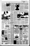 Kerryman Friday 15 June 1990 Page 29