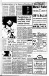 Kerryman Friday 20 July 1990 Page 3
