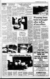 Kerryman Friday 10 August 1990 Page 5