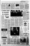 Kerryman Friday 02 November 1990 Page 23