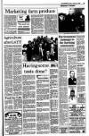 Kerryman Friday 18 January 1991 Page 25
