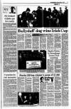 Kerryman Friday 01 March 1991 Page 17