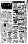 Kerryman Friday 31 May 1991 Page 23