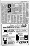 Kerryman Friday 11 October 1991 Page 15