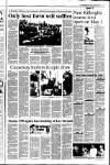 Kerryman Friday 20 March 1992 Page 17