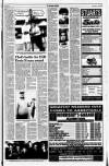 Kerryman Friday 14 May 1993 Page 17