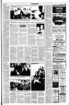 Kerryman Friday 16 July 1993 Page 13