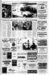Kerryman Friday 31 December 1993 Page 15